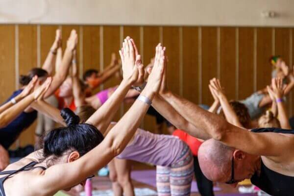 Lezione singola di gruppo Yoga-Terapia e Qi Gong, durata 75 min.