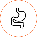 intestino salute