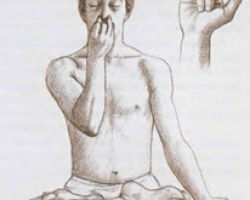 nadi-shodhana-pranayama-1